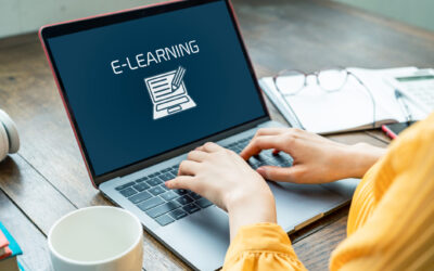 E-learning That Works on Other Markets: What Can Go Wrong – and How to Get It Right